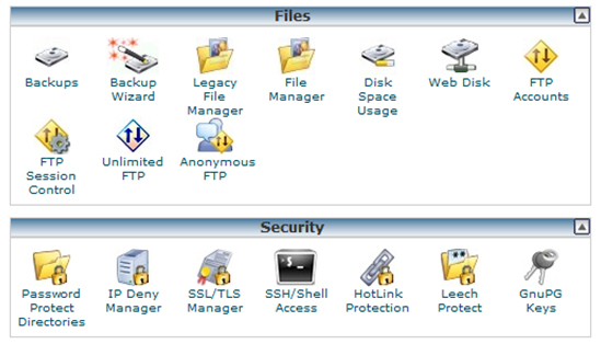  cPanel hosting