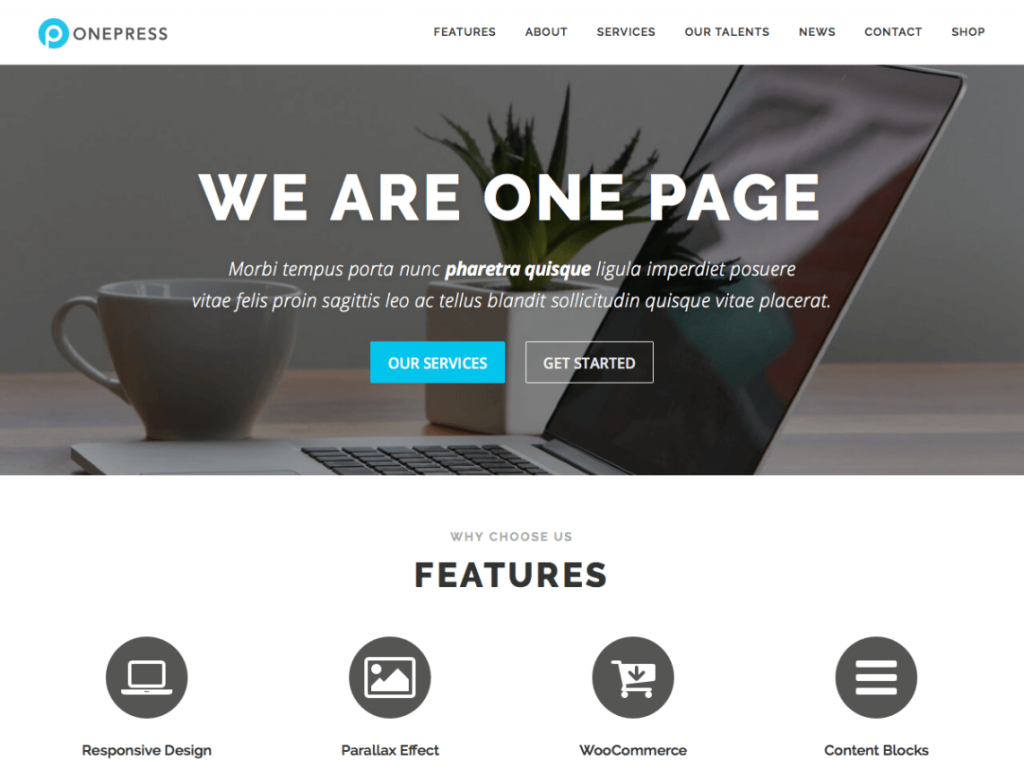 One Press WordPress Theme