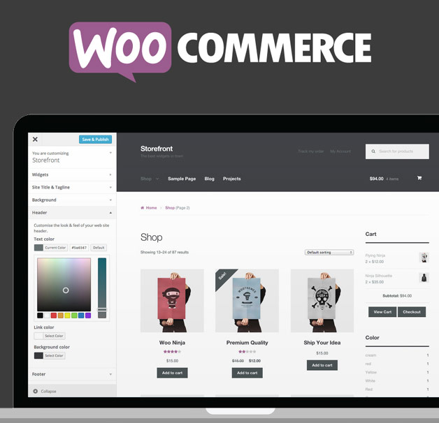 woocommerce for your wordpress ecommerce website